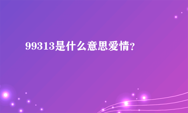 99313是什么意思爱情？