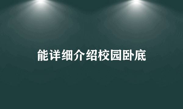 能详细介绍校园卧底