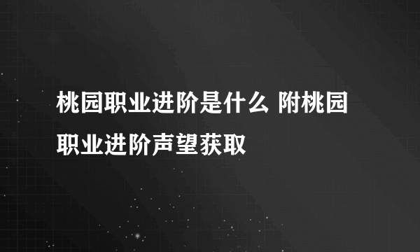 桃园职业进阶是什么 附桃园职业进阶声望获取