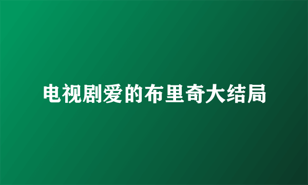 电视剧爱的布里奇大结局