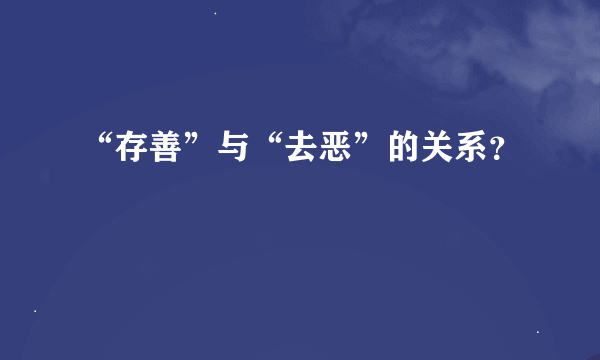 “存善”与“去恶”的关系？