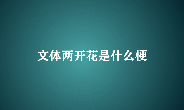 文体两开花是什么梗