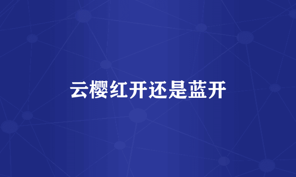 云樱红开还是蓝开