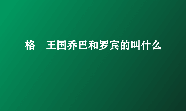 格闘王国乔巴和罗宾的叫什么
