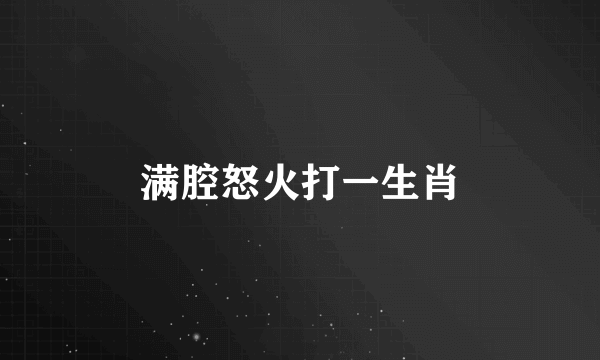 满腔怒火打一生肖