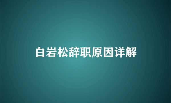 白岩松辞职原因详解