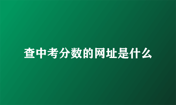 查中考分数的网址是什么