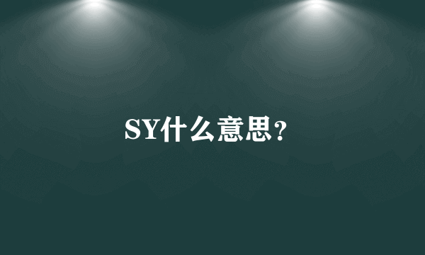 SY什么意思？