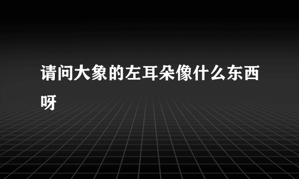 请问大象的左耳朵像什么东西呀