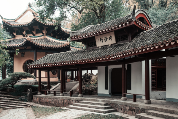 四虎最新地域网名是什么
