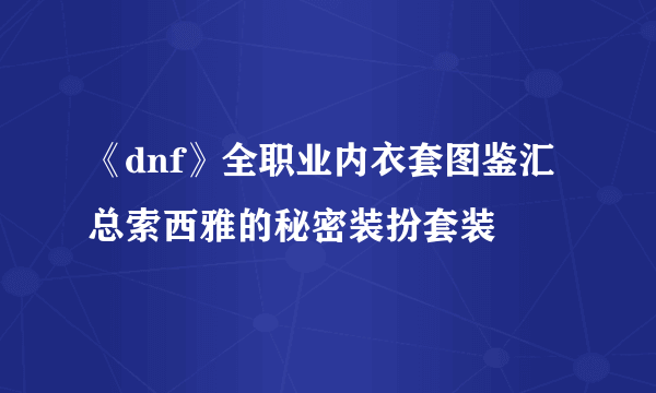 《dnf》全职业内衣套图鉴汇总索西雅的秘密装扮套装