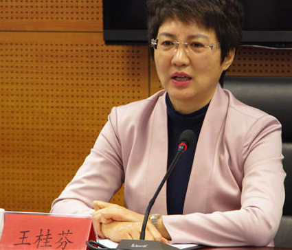 王桂芬为什么被查？