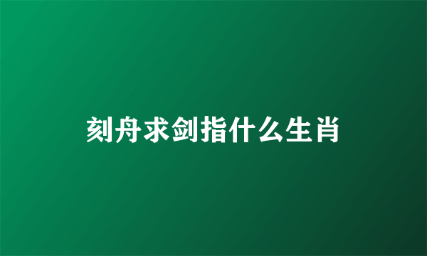 刻舟求剑指什么生肖
