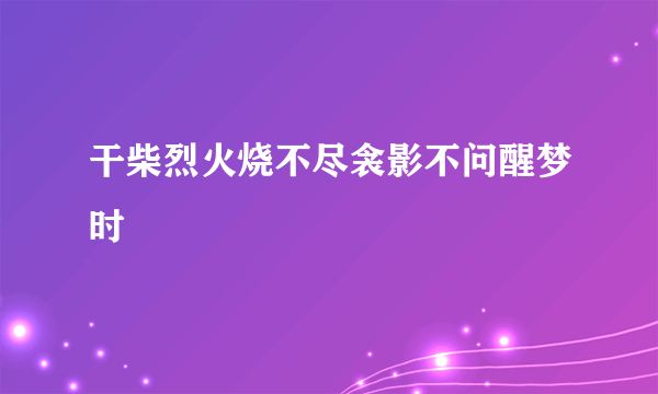 干柴烈火烧不尽衾影不问醒梦时