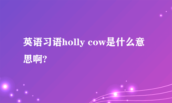 英语习语holly cow是什么意思啊?
