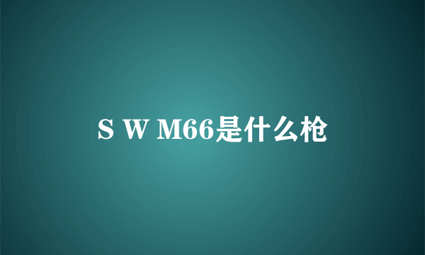 S W M66是什么枪