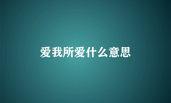 爱我所爱什么意思