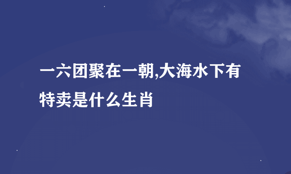 一六团聚在一朝,大海水下有特卖是什么生肖