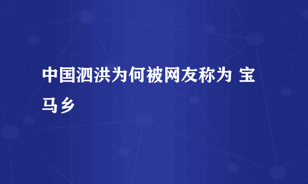 中国泗洪为何被网友称为 宝马乡