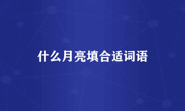 什么月亮填合适词语