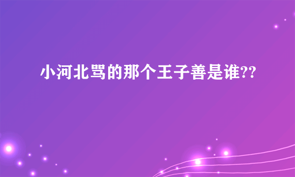 小河北骂的那个王子善是谁??