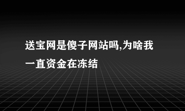 送宝网是傻子网站吗,为啥我一直资金在冻结