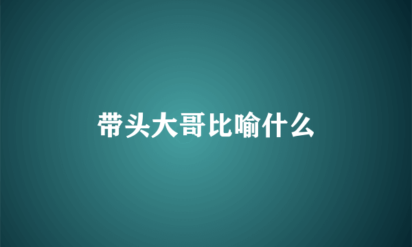 带头大哥比喻什么