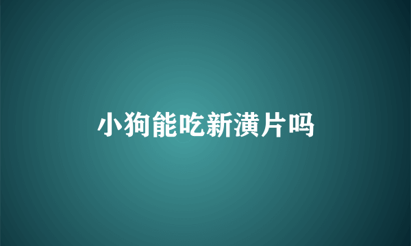 小狗能吃新潢片吗