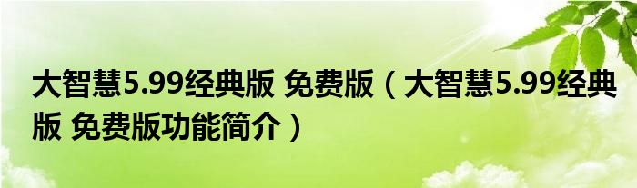 大智慧599经典版免费版大智慧599经典版免费版功能简介