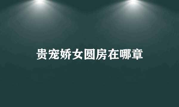 贵宠娇女圆房在哪章
