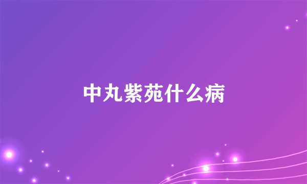中丸紫苑什么病