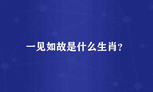 一见如故是什么生肖？