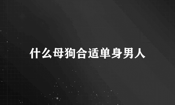 什么母狗合适单身男人