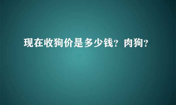 现在收狗价是多少钱？肉狗？