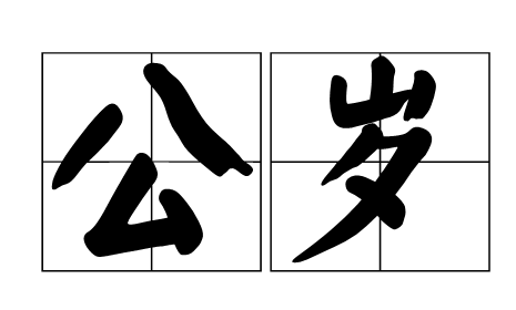 公岁是什么？