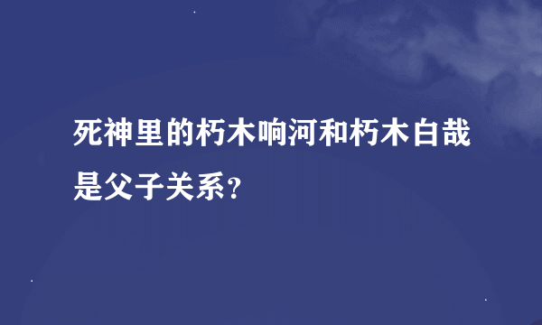 死神里的朽木响河和朽木白哉是父子关系？