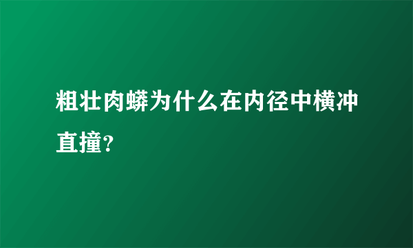粗壮肉蟒为什么在内径中横冲直撞？
