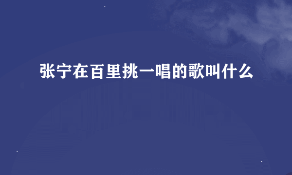 张宁在百里挑一唱的歌叫什么