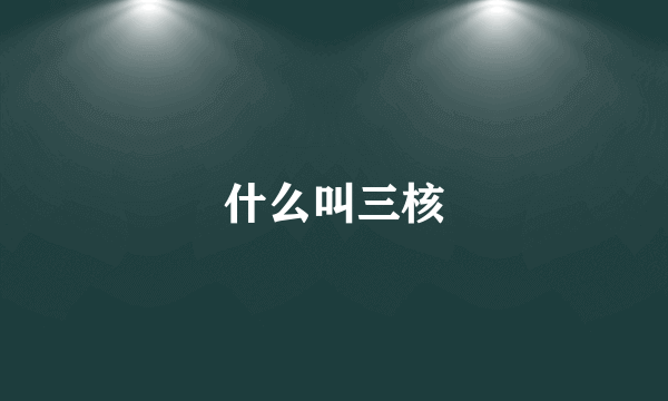 什么叫三核