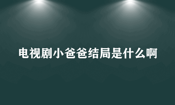 电视剧小爸爸结局是什么啊