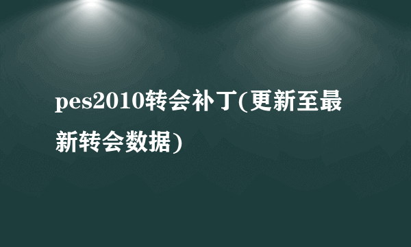 pes2010转会补丁(更新至最新转会数据)