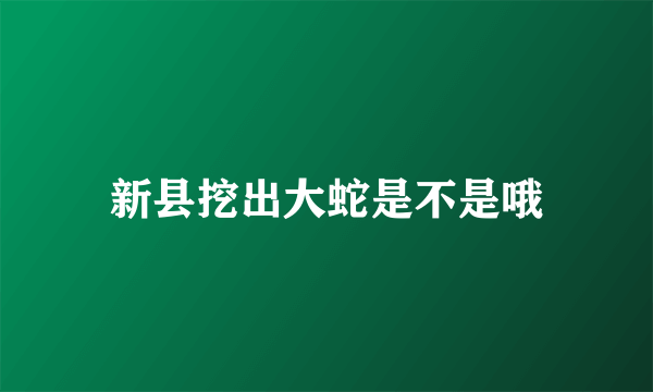 新县挖出大蛇是不是哦