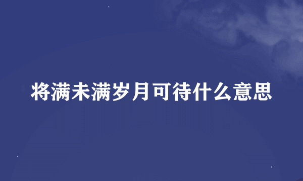 将满未满岁月可待什么意思