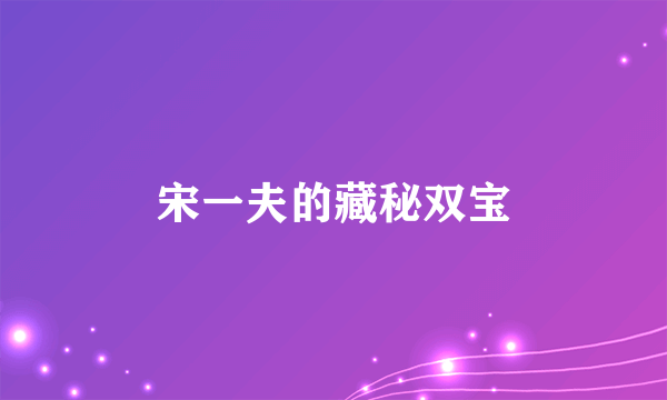宋一夫的藏秘双宝