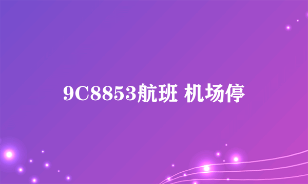9C8853航班 机场停
