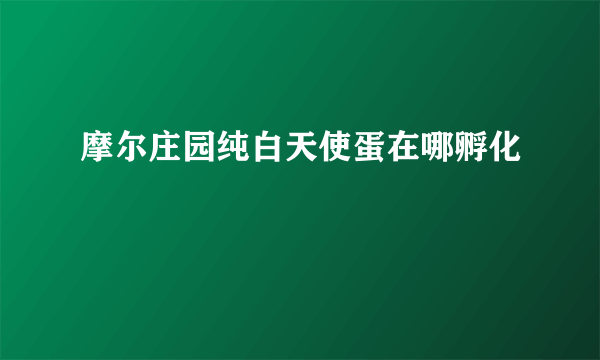 摩尔庄园纯白天使蛋在哪孵化