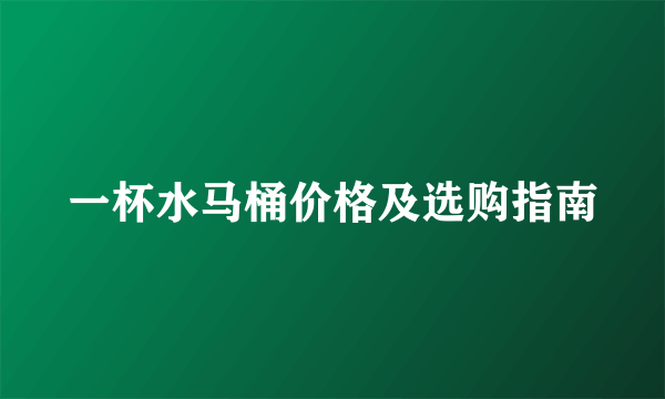 一杯水马桶价格及选购指南
