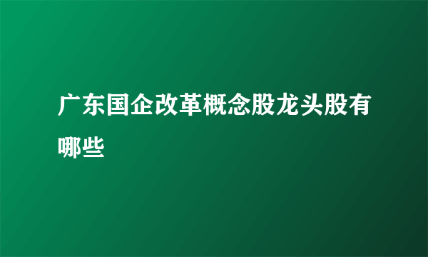 广东国企改革概念股龙头股有哪些