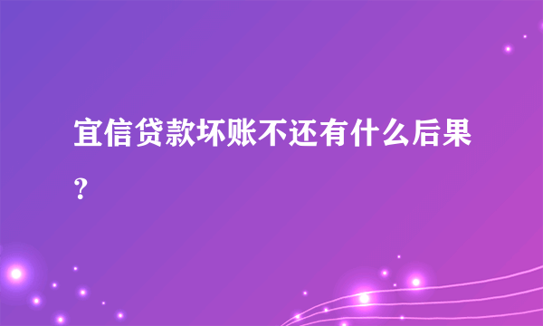 宜信贷款坏账不还有什么后果？