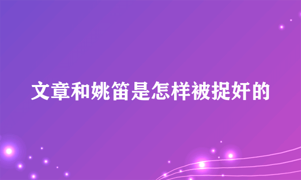 文章和姚笛是怎样被捉奸的